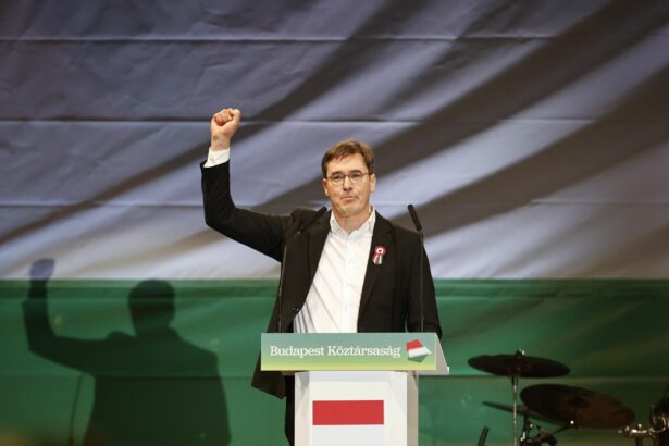 ungaria il acuza pe primarul budapestei pentru implicarea sa in marsul pride interzis 6979f32de00f6