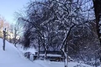 unicul locuitor al unui sat din alba izolat din cauza zapezii politistii i au dus medicamente si alimente 696145171967b