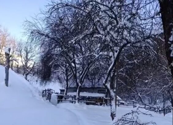 unicul locuitor al unui sat din alba izolat din cauza zapezii politistii i au dus medicamente si alimente 696145171967b