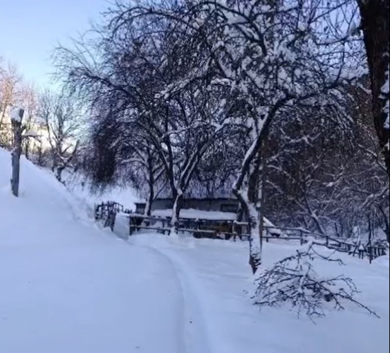 unicul locuitor al unui sat din alba izolat din cauza zapezii politistii i au dus medicamente si alimente 696145171967b