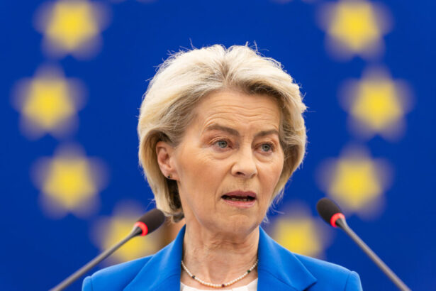 ursula von der leyen in india pentru finalizarea acordului de liber schimb ue india 6974ef4cefcc5