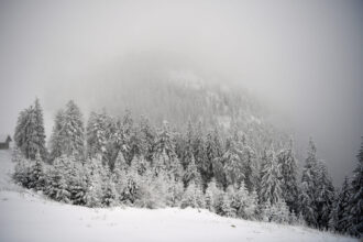 varful gerului nu a venit inca meteorologii anunta minime de pana la 20c in romania 6964a39995aea