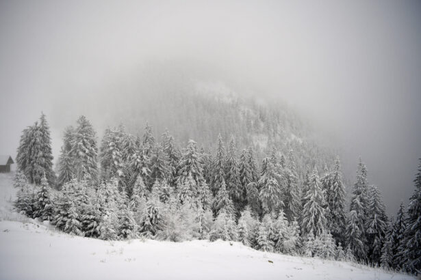 varful gerului nu a venit inca meteorologii anunta minime de pana la 20c in romania 6964a39995aea