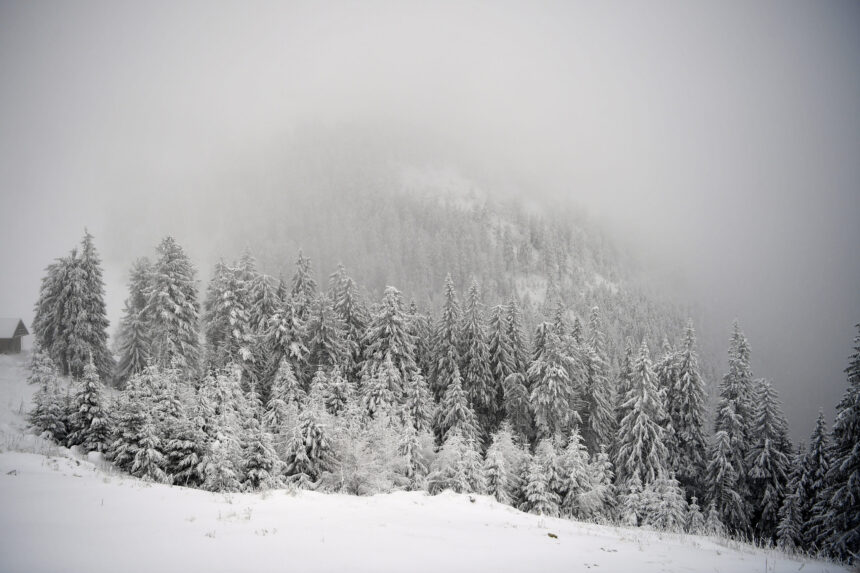 varful gerului nu a venit inca meteorologii anunta minime de pana la 20c in romania 6964a39995aea