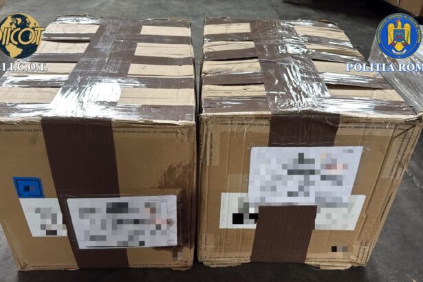 vrancea politistii au descoperit inca 15 kilograme de canabis intr o ancheta de trafic international de droguri 697cf37a0bde8