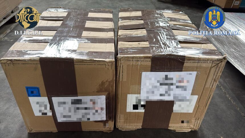 vrancea politistii au descoperit inca 15 kilograme de canabis intr o ancheta de trafic international de droguri 697cf37a0bde8