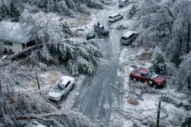 vreme extrema in sua furtuna de gheata si pene de curent masive 69787b025f4cb