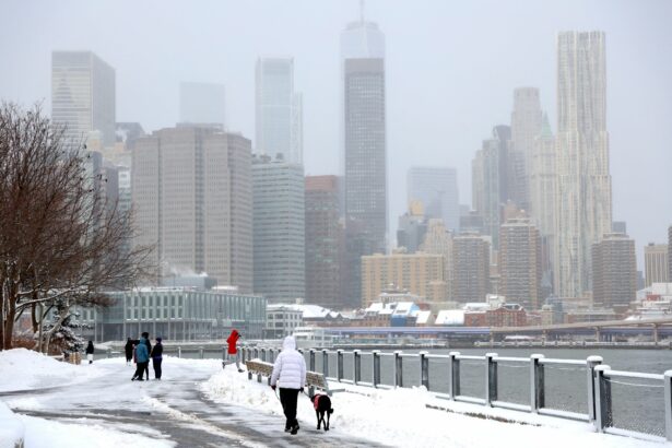 vreme extrema in sua ninsoare abundenta si inghet in aproape toata tara 6975fda150710