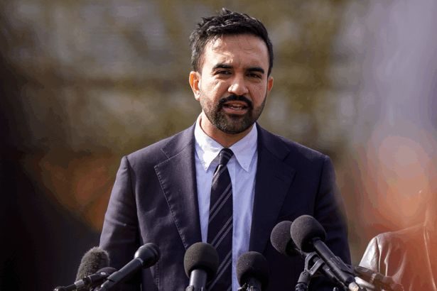 zohranomics nyc mayor zohran mamdanis socialist math doesnt add up 69676ea708b0c