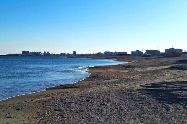 58 de sectoare de plaja scoase la licitatie terenurile fac parte din domeniul public al statului 6984a413c8d15