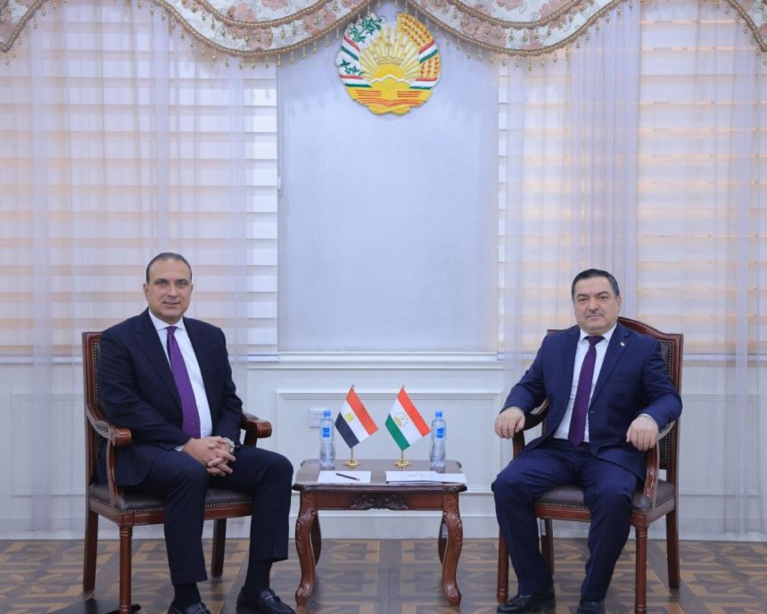 Deputy Foreign Minister of Tajikistan Farrukh Sharifzoda meets Egyptian Ambassador Tamer Fathi Abdussalam Hammad during presentation of credentials in Dushanbe