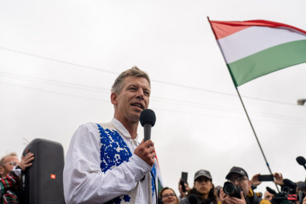 alegeri in ungaria ultimele sondaje arata ca partidul tisza isi mentine avantajul fata de fidesz partidul de guvernamant al lui orban 69807dccd0ba4