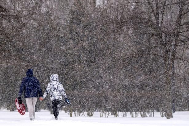 anm cod portocaliu de viscol si ninsori la munte ploi si vant in restul tarii 699d5fa6656bd