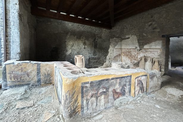 arheologii din egipt au descoperit un adapost rupestru vechi de 10 000 de ani 698e478bcd27b