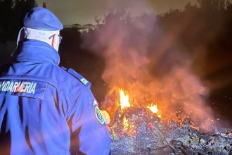 barbat amendat dupa ce a incendiat gunoaie in bistrita acesta a aprins focul aproape de magistrala de gaz 699ed34b877c0