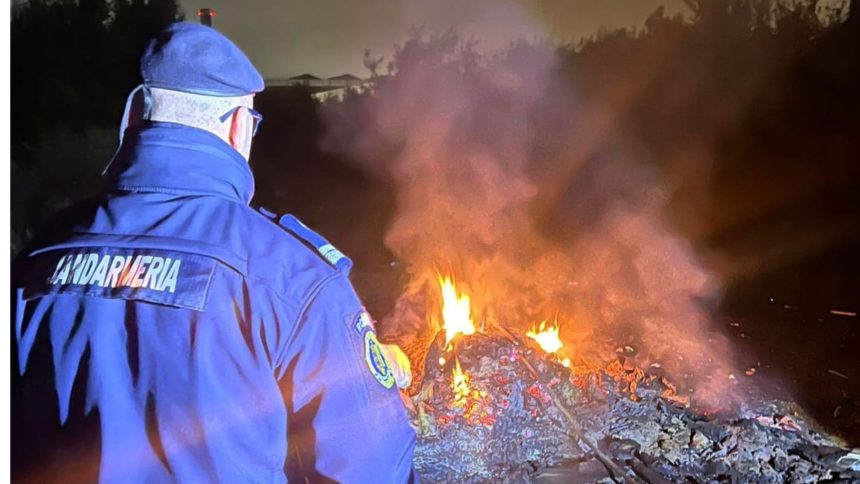 barbat amendat dupa ce a incendiat gunoaie in bistrita acesta a aprins focul aproape de magistrala de gaz 699ed34b877c0