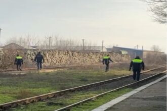 cadavru dezmembrat de animale gasit in slobozia politistii fac verificari 697f37813bbb1