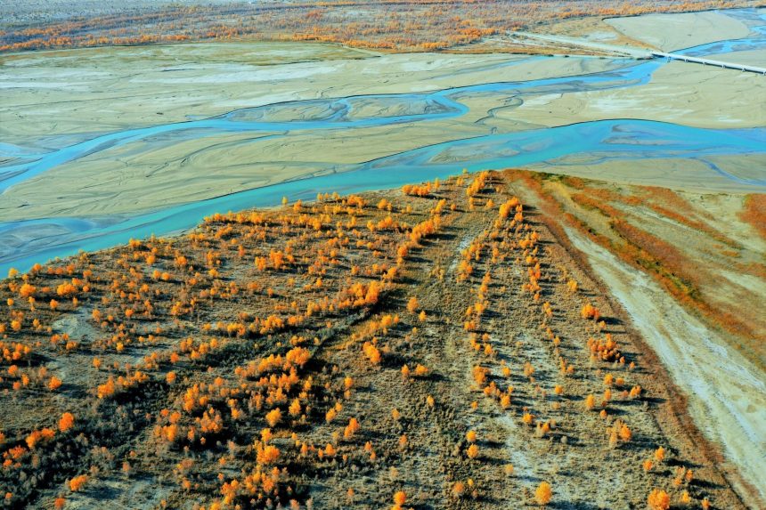 china schimba peisajul climatic desertul taklamakan transformat in rezervor natural de carbon dupa decenii de impaduriri 698dd2fd04547