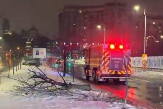 cod galben de ninsori si viscol copaci cazuti in bucuresti drumuri inchise in ialomita 699944a605f9b