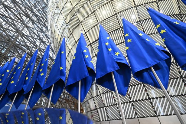 comisarul dubravka suica va reprezenta ue la prima reuniune a consiliului pentru pace al lui trump 6993057c441ca