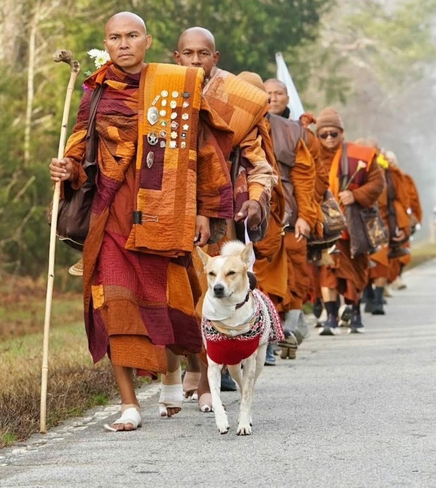 de 100 de zile pe drum marsul calugarilor budisti se apropie de final 6981465aeb883