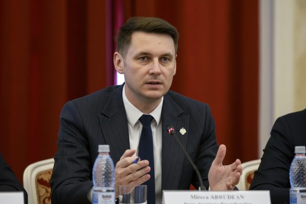 edited abrudean despre lentoarea deciziilor in coalitie exista oarecare opozitie din cand in cand 699f267ef3aba