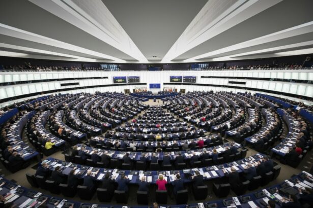 edited amendament depus de un roman la bugetul european 90 de miliarde de euro pentru sanatate 698094e618ac6