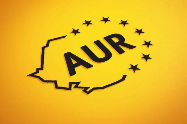 edited aur a depus proiectul pentru alegerea primarilor si presedintilor de consilii judetene in doua tururi 699f0a5eb2461