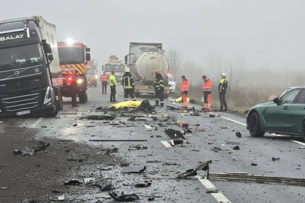 edited ce mentine angajamentul de a reduce la jumatate numarul mortilor prin accidente rutiere pana in 2030 69930fbcd358a