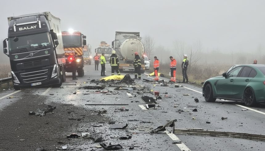 edited ce mentine angajamentul de a reduce la jumatate numarul mortilor prin accidente rutiere pana in 2030 69930fbcd358a