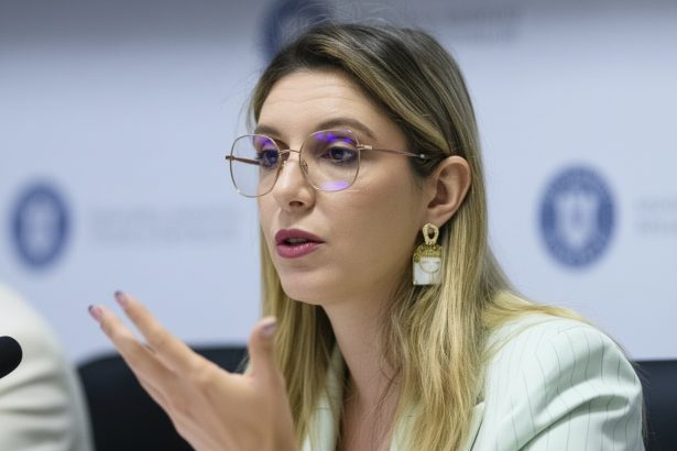 edited diana buzoianu despre reforma romsilva directorii vor avea contracte de mandat in fiecare an vor fi analizati 6999e9df22e35