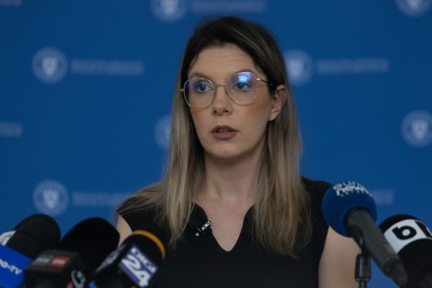 edited diana buzoianu despre taierile de 10 din ministerul mediului ma uit la aceasta tinta ca la o oportunitate 6999e1bd7484b