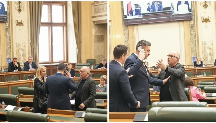 edited doi senatori romani s au imbrancit si au fost la un pas sa se ia la bataie scandalul provocat de o senatoare 6995c55f2e3f3