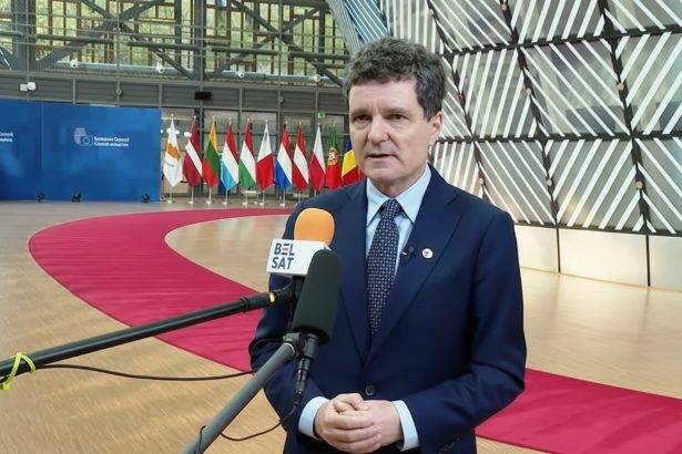 edited nicusor dan despre europa cu mai multe viteze nu trebuie sa ne sperie asta 698da8eda222b