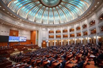 edited senatul a adoptat proiectul de lege pentru combaterea femicidului 6980db528e2c5