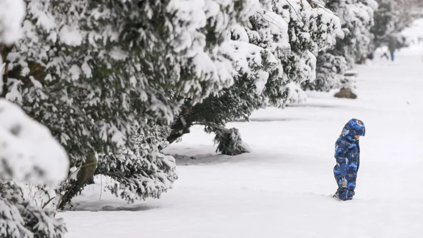 efectele codului portocaliu trafic restrictionat avarii la reteaua electrica si zboruri afectate 69950184a4101