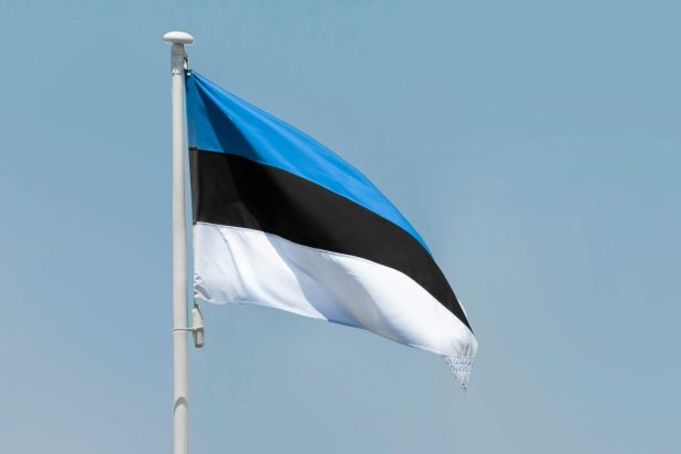 estonia elibereaza nava retinuta sub suspiciunea de contrabanda dupa inspectie 698494a67d54e