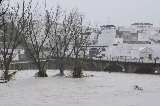 fermierii anunta pagube catastrofale dupa ce furtuna marta a lovit spania si portugalia 6987b16606ae5