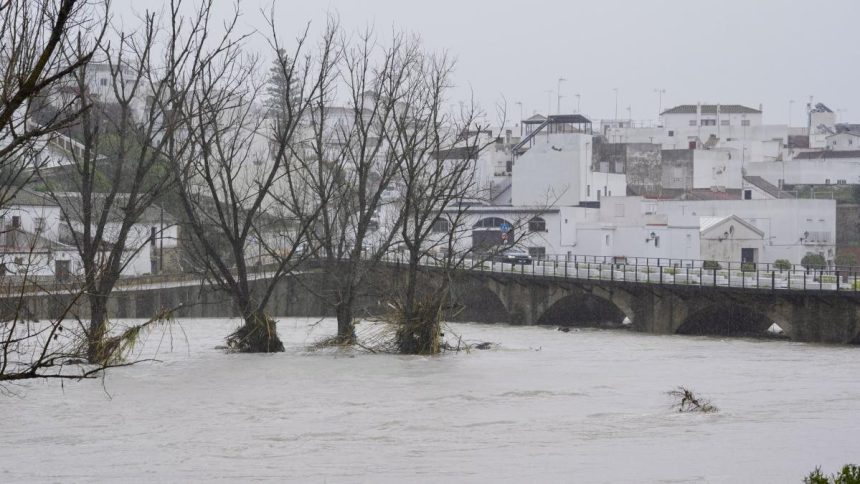 fermierii anunta pagube catastrofale dupa ce furtuna marta a lovit spania si portugalia 6987b16606ae5