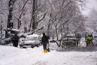 haos in bucuresti dupa ninsoare 183 de copaci rupti zeci de masini avariate si un microbuz blocat in zapada video 69958f75bc228
