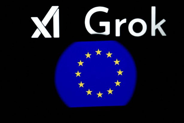 irlanda deschide o ancheta privind imaginile sexualizate generate de chatbotul grok 6993d168344de