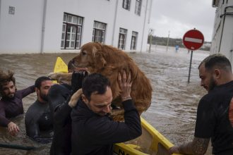 liderii portughezi sfideaza inundatiile si extrema dreapta pentru a organiza duminica turul doi al alegerilor prezidentiale 69883c9703bd2
