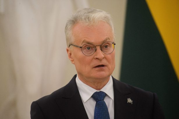 lituania incepe o ancheta legata de dosarele epstein privind traficul de persoane 6982333b81fc8