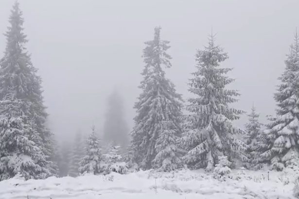 ninsori abundente in carpati si risc mare de avalansa in fagaras si bucegi 69956fab85f84