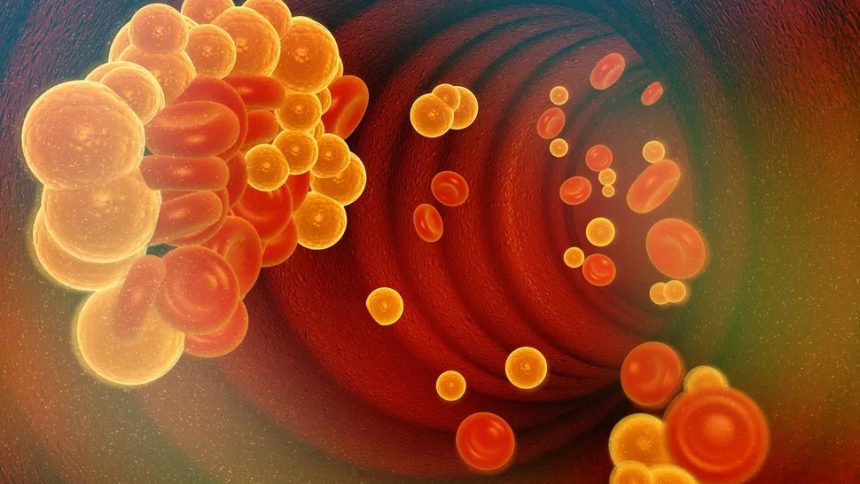 o pastila experimentala ar putea revolutiona tratamentul colesterolului ridicat 698446ed0e09f