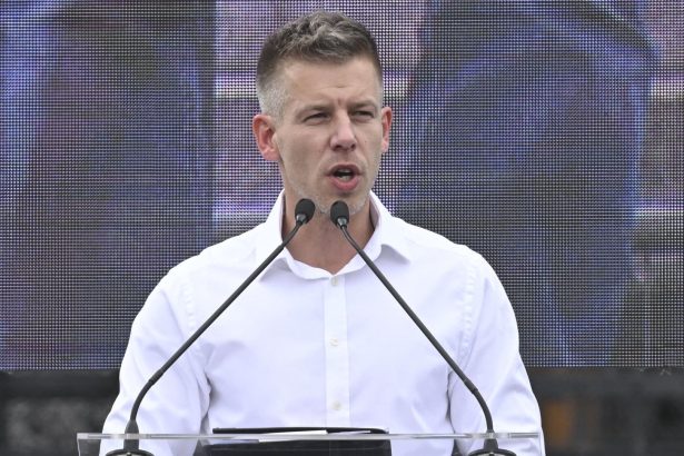 Peter Magyar liderul partidului Tisza implicat in scandal politic dupa participarea la o petrecere controversata in Budapesta