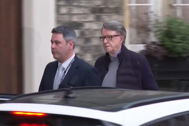 peter mandelson eliberat pe cautiune dupa arestarea in ancheta privind legaturile cu jeffrey epstein 699d41d478a47