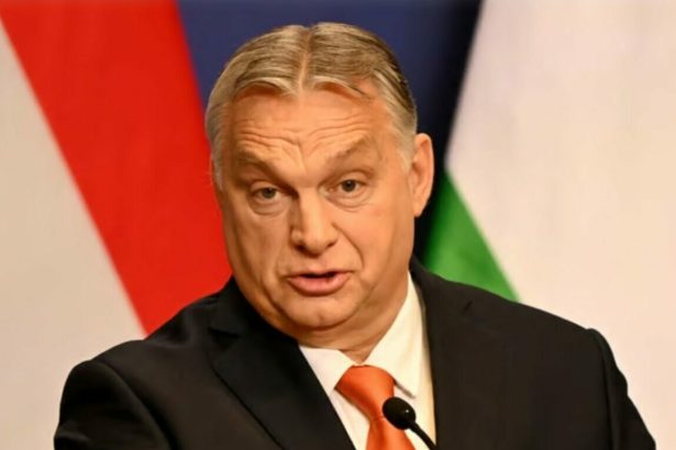 premierul ungariei viktor orban mizeaza pentru realegerea sa pe un mesaj anti ucraina 699eb554d64c0