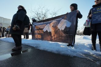 protest la palatul parlamentului pentru drepturile animalelor peste 700 de persoane cer interzicerea eutanasierii in masa 699b22059a332
