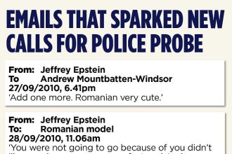 romanca foarte draguta livrata de epstein lui andrew mountbatten windsor la palatul buckingham 6988798786e7e